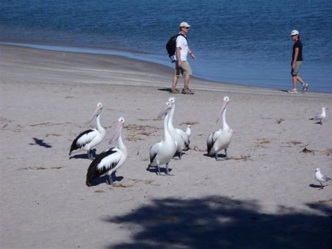 Kalbarri Accommodation Service - Perths Hotel 5