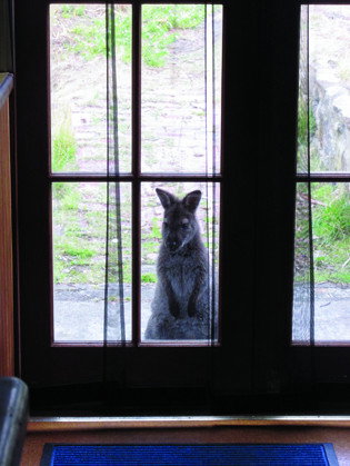 VARUNA - Perths Hotel 4