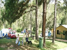 Glasshouse Mountains Holiday Village - Perths Hotel 0