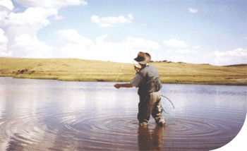 Tawonga Fishing Lodge - Perths Hotel 3