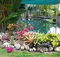Daintree Wild Bed And Breakfast - Perths Hotel