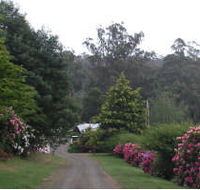 Mountain Rivers Lodge - Perths Hotel