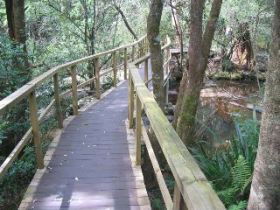 The Mouses House - Perths Hotel 0