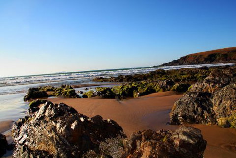 ArtHOUSE Beachfront Accommodation - Perths Hotel 8