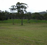 Mt White Lodge - Perths Hotel