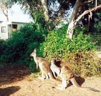Avoca Dell Caravan Park - Perths Hotel