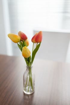 Easystay Apartments Raglan Street - Perths Hotel 11