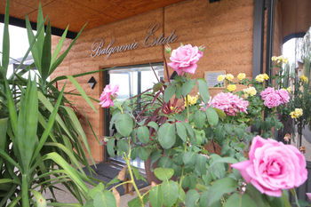 Balgownie Estate Vineyard & Spa - Perths Hotel 2