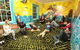 Jolly Swagman Backpackers - thumb 2