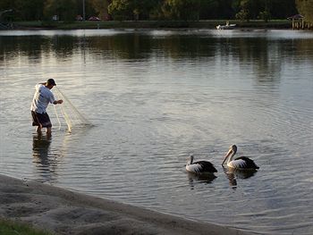 Maroochy River Resort & Bungalows - Perths Hotel 6