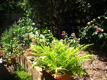 Bungunyah Apartments - Perths Hotel 1