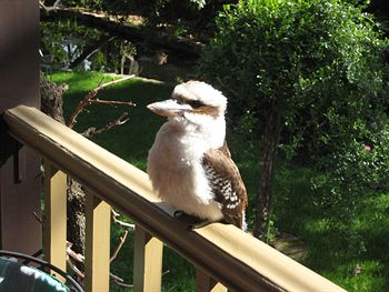 Bungunyah Apartments - Perths Hotel 3