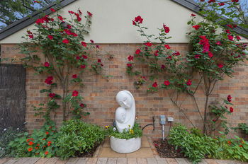 Bungunyah Apartments - Perths Hotel 8