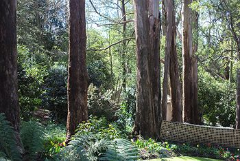 Adeline Bed And Breakfast - Perths Hotel 8