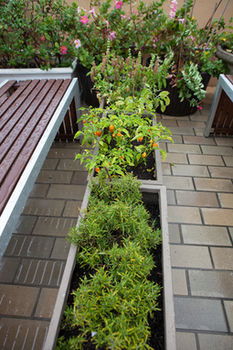 Eva's Backpackers - Perths Hotel 39