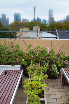 Eva's Backpackers - Perths Hotel 40