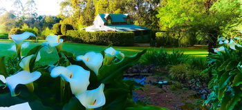 Gracehill - Perths Hotel 19