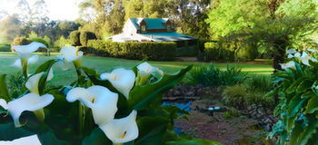 Gracehill - Perths Hotel 38