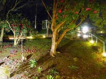 Aquila Nova Retreat - Perths Hotel 43