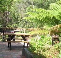 Blackwood Studio Accommodation - The Cottage