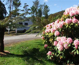 Zeehan Bush Camp  And Caravan Park - Perths Hotel 0
