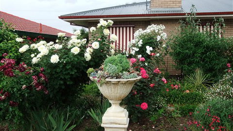 Admurraya House Bed And Breakfast - Perths Hotel 5