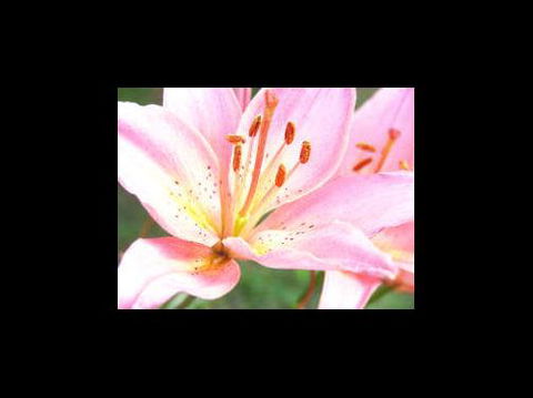 A Country House At Winstanley - Perths Hotel 3