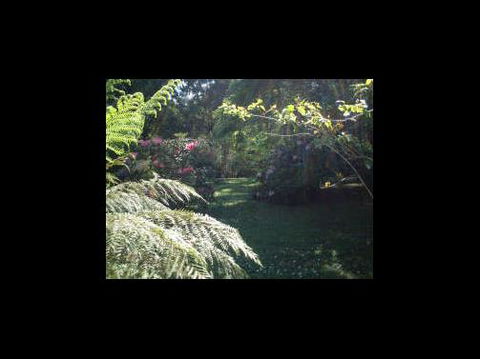 A Country House At Winstanley - Perths Hotel 4