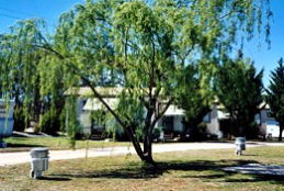 Blue Topaz Caravan Park & Camping Ground - Perths Hotel 0