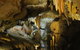 Buchan Caves Reserve - thumb 4