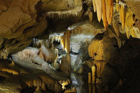 Buchan Caves Reserve - Perths Hotel 4