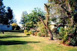 Condamine River Caravan Park - Perths Hotel 0