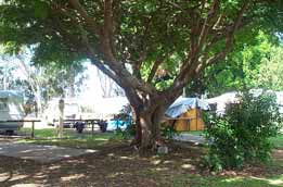 Donnybrook Caravan Park - Perths Hotel 1