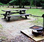 Bellbird campground