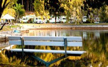 BIG4 Tweed Billabong Holiday Park - South - Perths Hotel 2