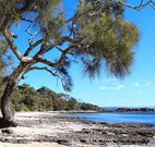 Currarong Beachside Holiday Park - Perths Hotel