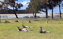 Lake Conjola Entrance Holiday Park - Perths Hotel 2