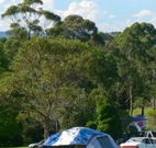 Milton Valley Holiday Park - Perths Hotel