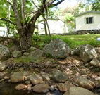 Mt Warning Rainforest Park - Perths Hotel