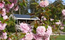 Tyrra Cottage Bed And Breakfast - Perths Hotel 2