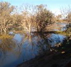 Warrawong on the Darling - Perths Hotel