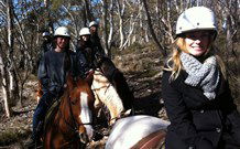 JE Resort (Jindabyne Equestrian Resort) - Perths Hotel 1
