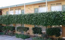 Mid City Motor Inn - Queanbeyan - Perths Hotel 4