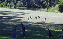 Sussex Shores RSL Units - Sussex Inlet - Perths Hotel 6