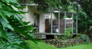 Mt Warning Rainforest Park - Perths Hotel 6