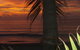 Mission Reef Resort - thumb 5