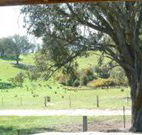 Hosanna Farm Retreat - Perths Hotel