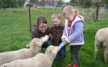 Linga Longa Farm Wingham - Perths Hotel 2