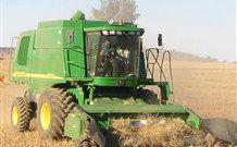 Linga Longa Farm Wingham - Perths Hotel 4