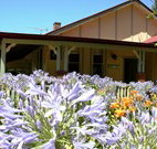 Red Hill Organics Farmstay